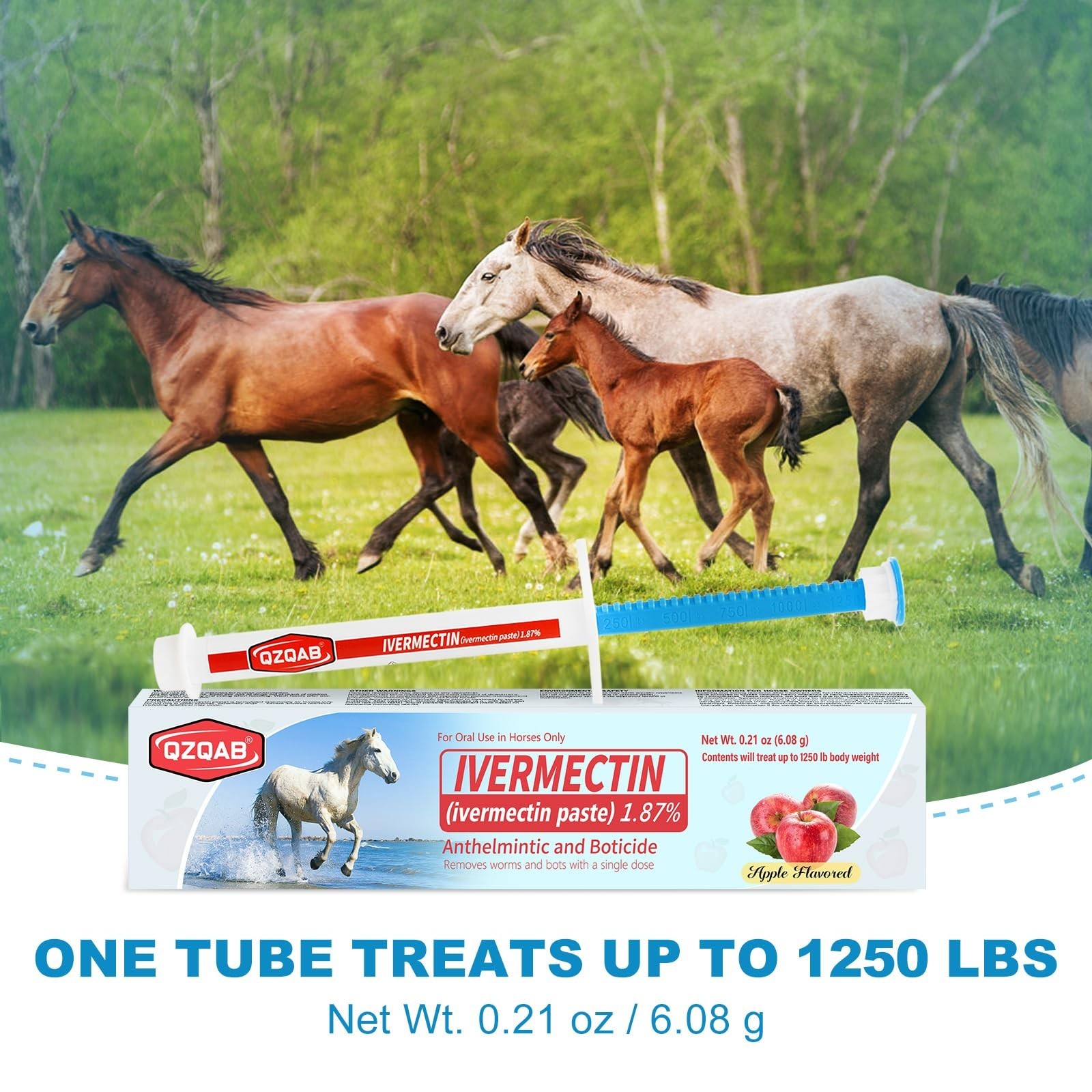 Equine Dewormer Paste 1.87% – Apple Flavor, 6-Pack Oral Treatment for Horses