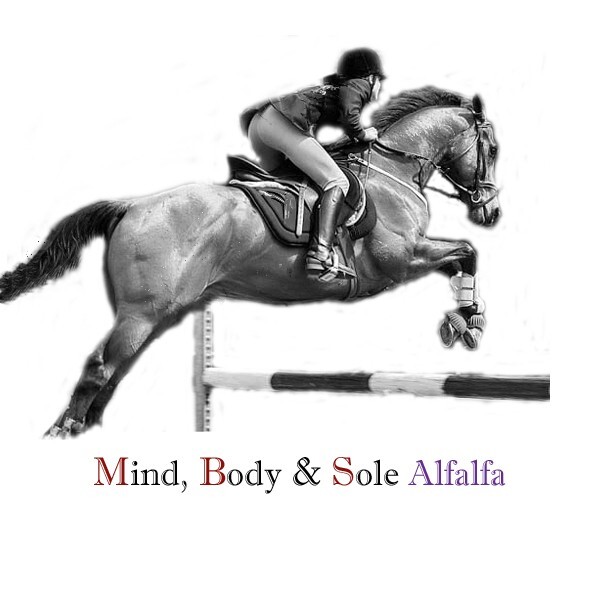All In One Horse Supplement Mind, Body & Sole Alfalfa Skin-Digestion- Hoof-Joint