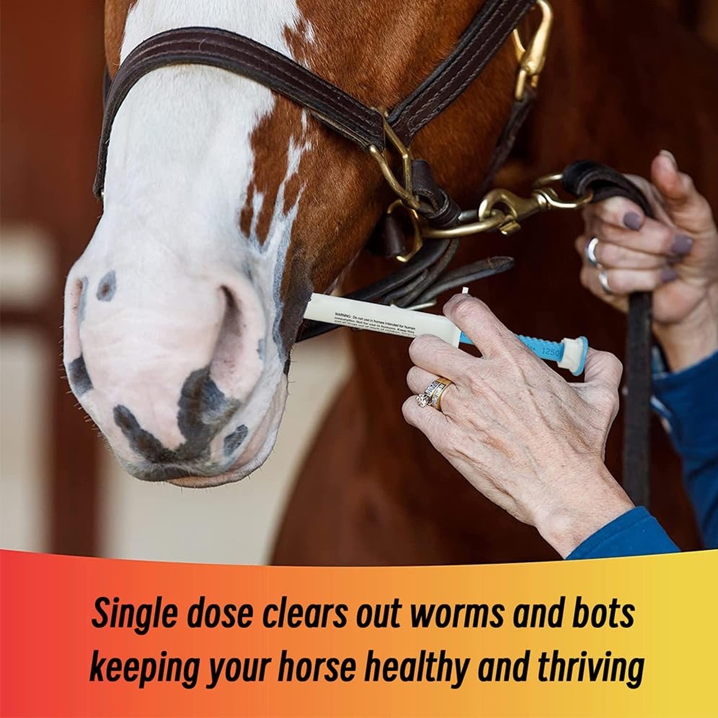 10 Pack New Paste Wormer Horse Dewormer Apple Flavor US Free Shipping
