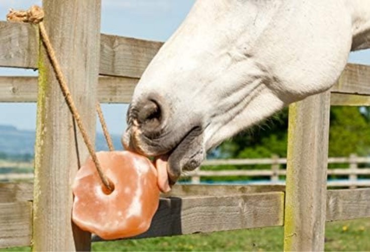 Himalayan Salt Lick 6 lbs on Rope for Horses Deer Goats Livestock 2 Pack