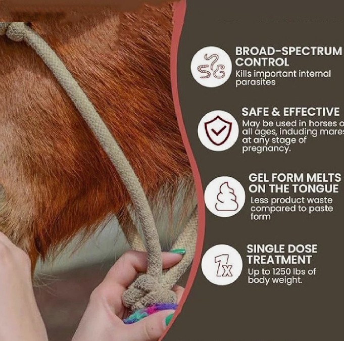 Horse Care 10-Pack Apple Flavored Paste – Gut Health Support – 1/2028