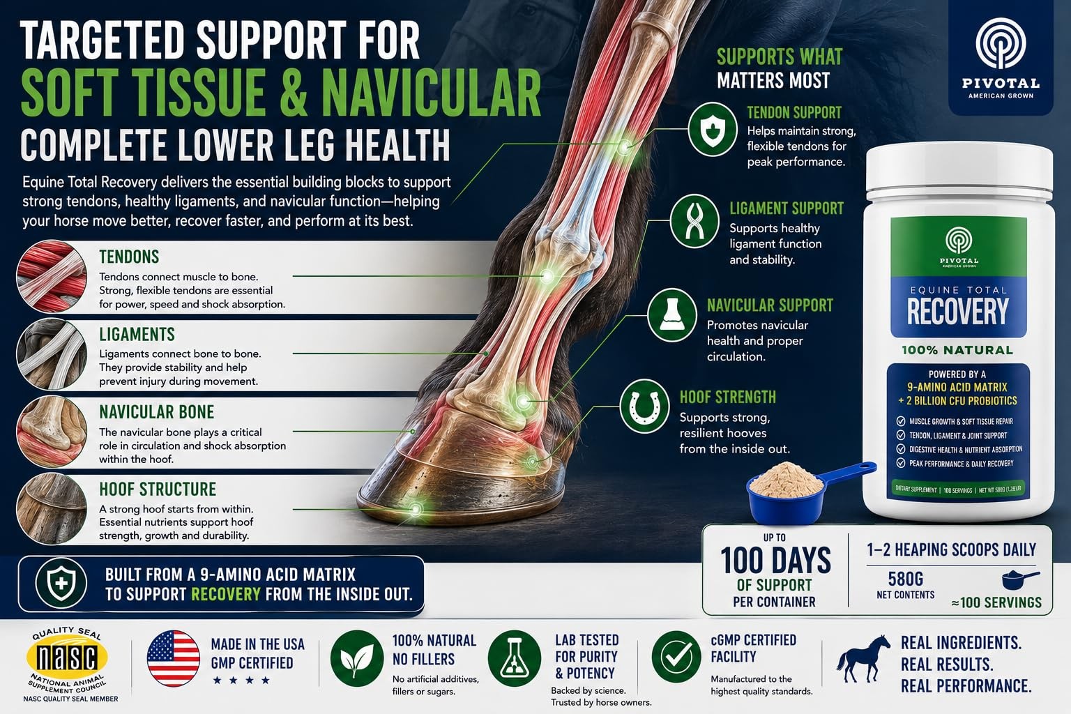 Feeds Equine Total Recovery – 9 Amino Acids & Probiotics for Horses | Muscle …