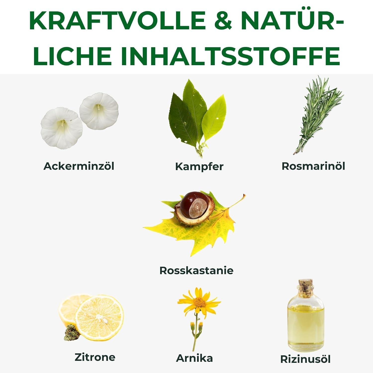 Revitalizing 500ml Kräuterhof Horse Balm with Arnica – Gentle & Effective Care