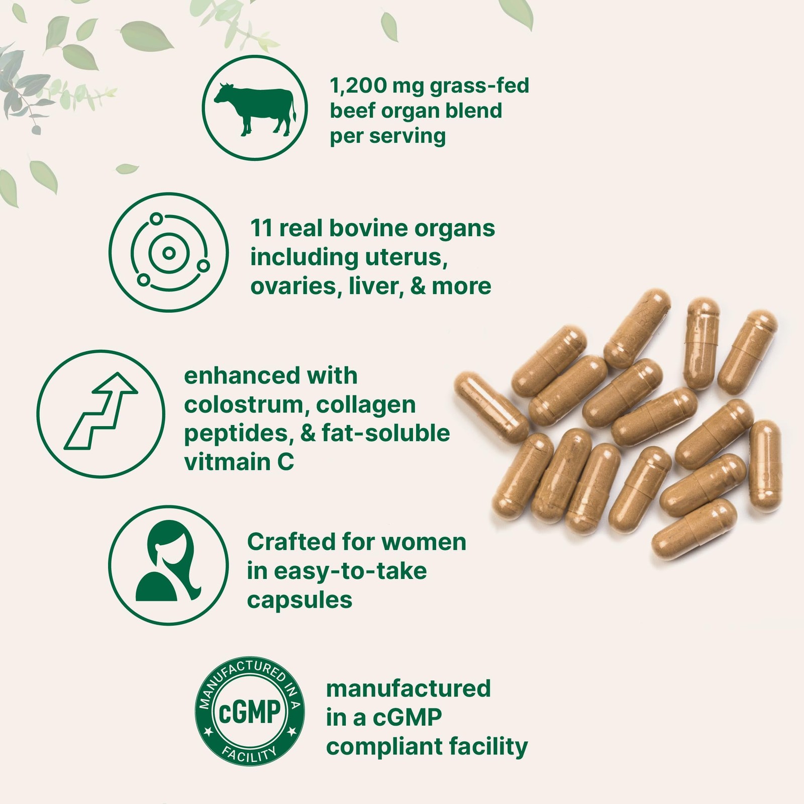 Micro Ingredients Grass‑Fed Beef Organ Supplement for 240 Count (Pack of 1)