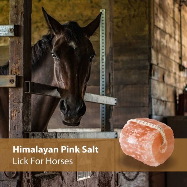 Himalayan Salt Lick 4 to 6 lbs for Animal Wellness Natural Salt